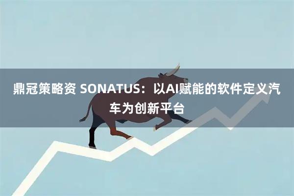 鼎冠策略资 SONATUS：以AI赋能的软件定义汽车为创新平台