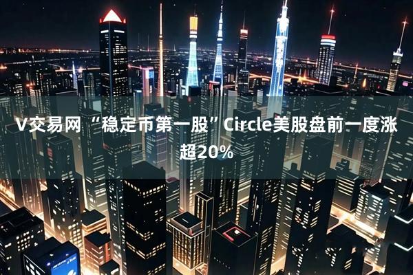 V交易网 “稳定币第一股”Circle美股盘前一度涨超20%