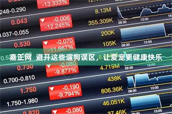 嘉正网  避开这些遛狗误区，让爱宠更健康快乐