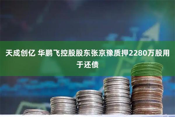 天成创亿 华鹏飞控股股东张京豫质押2280万股用于还债