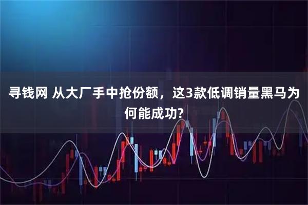 寻钱网 从大厂手中抢份额，这3款低调销量黑马为何能成功?