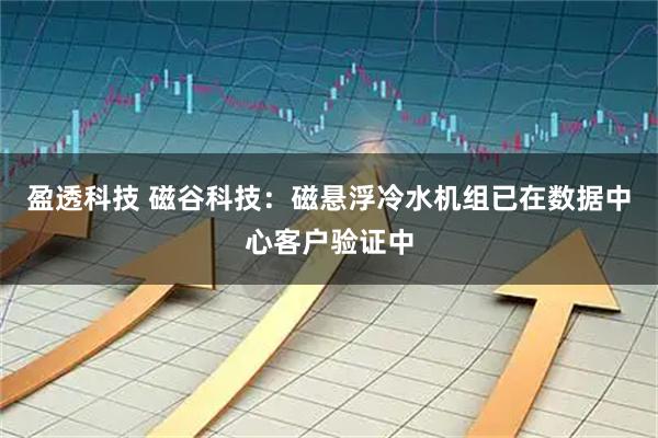 盈透科技 磁谷科技：磁悬浮冷水机组已在数据中心客户验证中