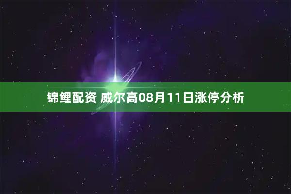 锦鲤配资 威尔高08月11日涨停分析