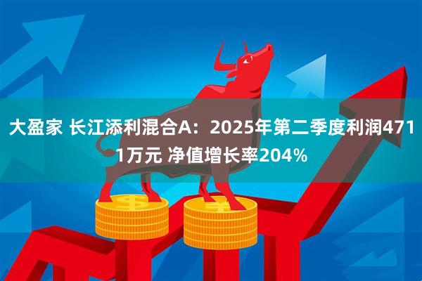 大盈家 长江添利混合A：2025年第二季度利润4711万元 净值增长率204%