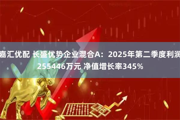 嘉汇优配 长盛优势企业混合A：2025年第二季度利润255446万元 净值增长率345%