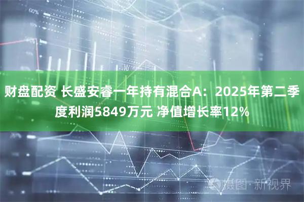 财盘配资 长盛安睿一年持有混合A：2025年第二季度利润5849万元 净值增长率12%